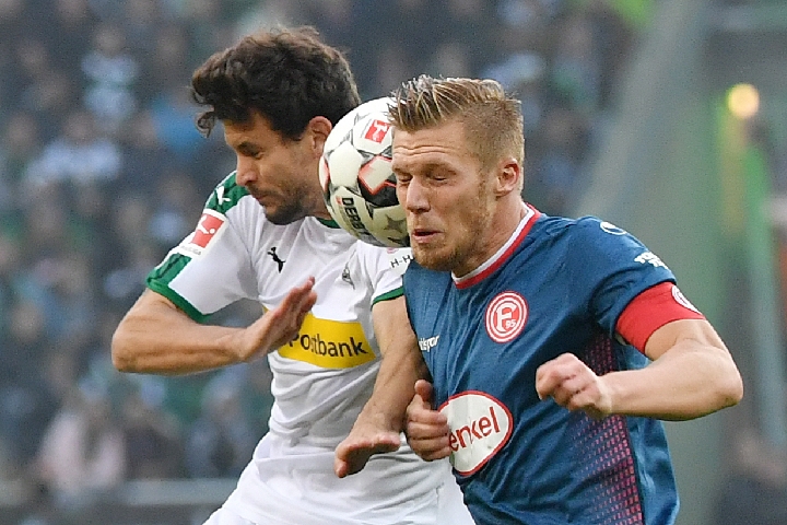 灰熊的赛季 灰熊的赛季